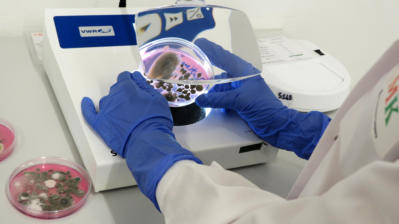 tnt columbia microbiological analyses IMG 6233